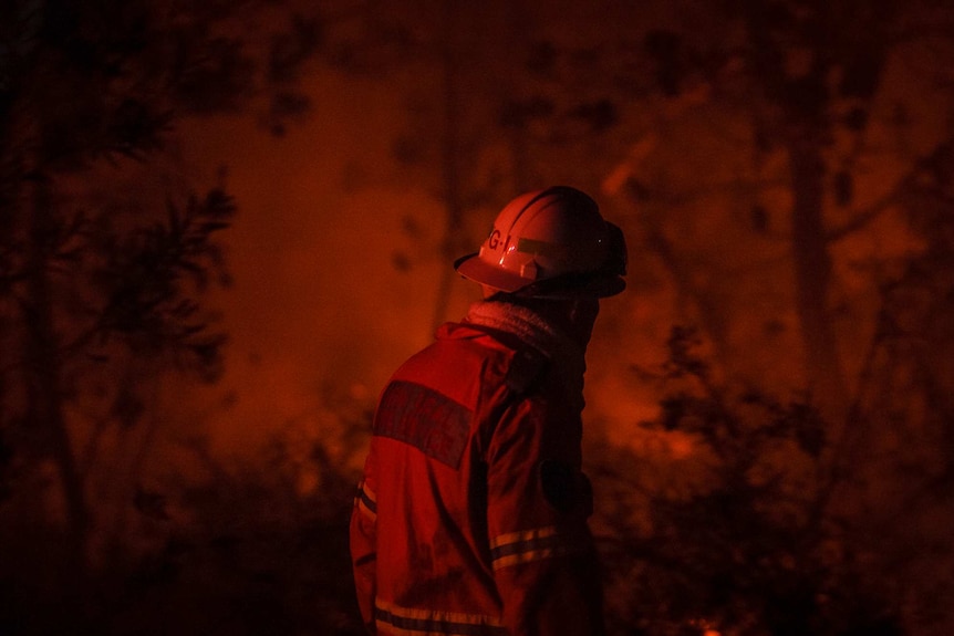 Firefighter watches back-burning operations in the Blue Mountains (Photo: John Donegan)