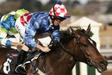 A softer Melbourne Cup track will suit two-time winner Makybe Diva.