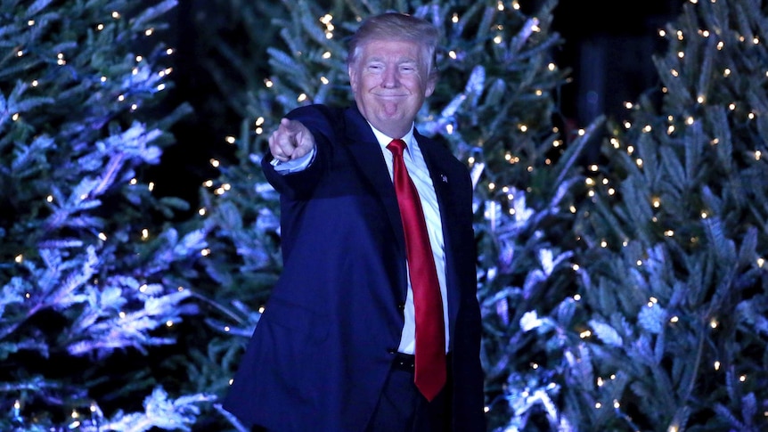 Donald Trump points in front of a christmas tree backdrop to his cheering supporters in Orlando.
