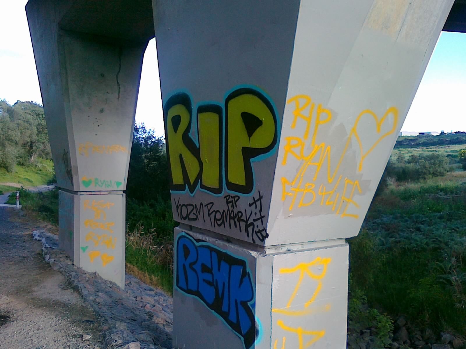 Teen graffiti tagger plunges from bridge - ABC News