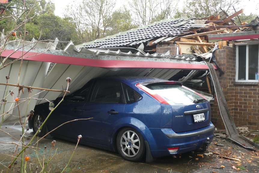 A car under a carport crushed under the weight of a huge tree.