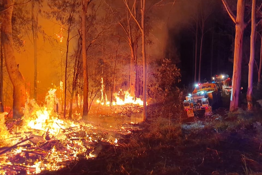 A fire truck with lights on next to burning trees and grass