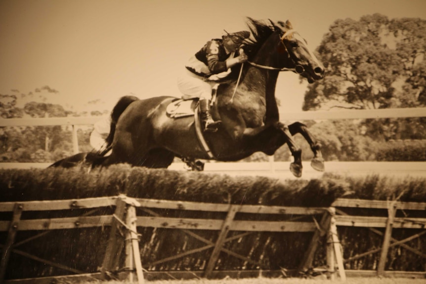 Jockey Neil Day during a jumps race.
