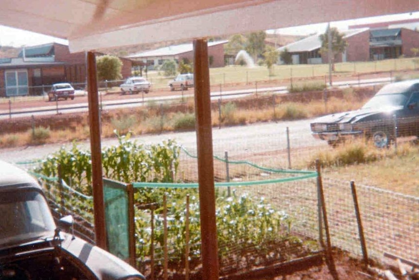 old photo of small vegetable garden in a backyard