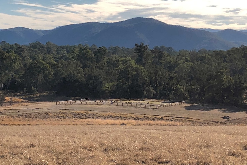 Wide angle of the Baryulgil Cemetery with hills in the background