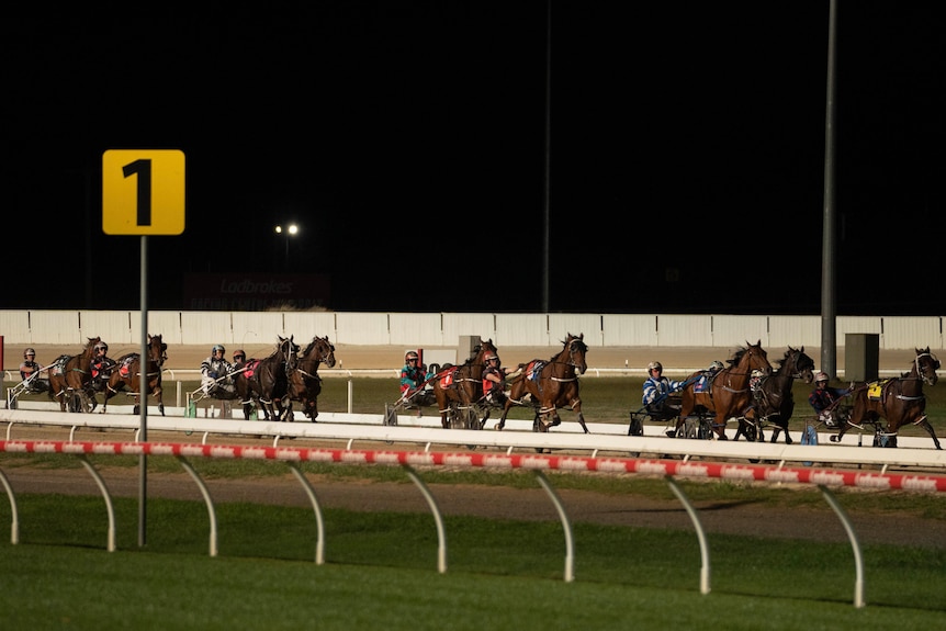 Harness horses racing at night.