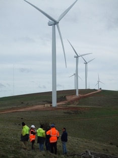 A group of workers in high vis look up at a row of giant turbines on a wind farm property.