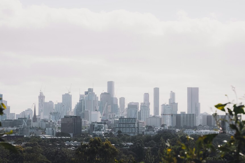 High rise buildings in Melbourne behind some treetops with grey skies above.