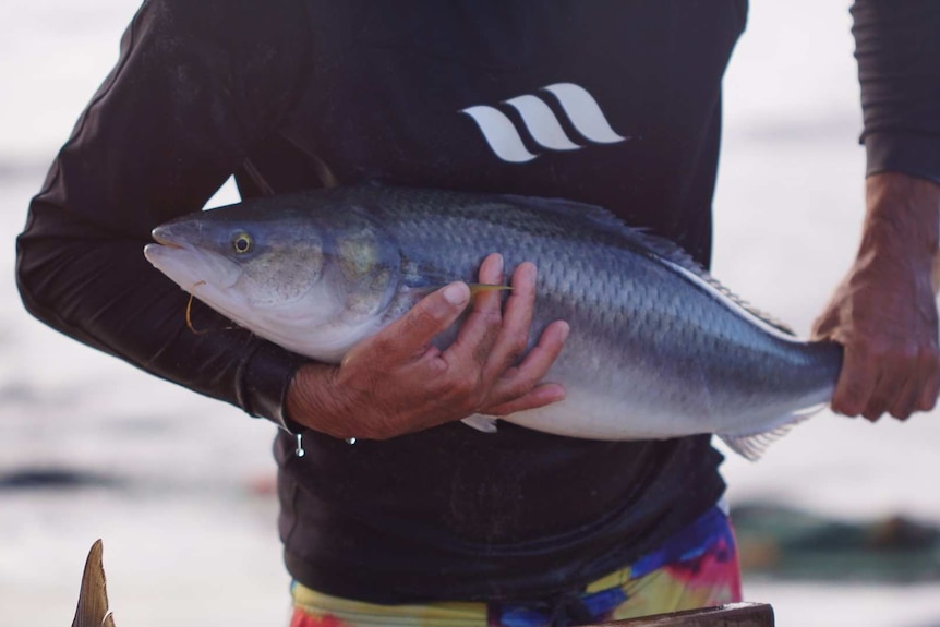 A fisherman carrying a salmon from the ocean.