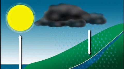 Graphic image of water cycle showing arrow pointing to sun from ocean arrow pointing down from rain cloud to ground