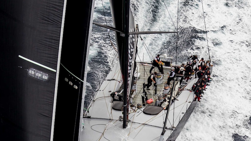 US yacht Comanche sails in the Sydney to Hobart race