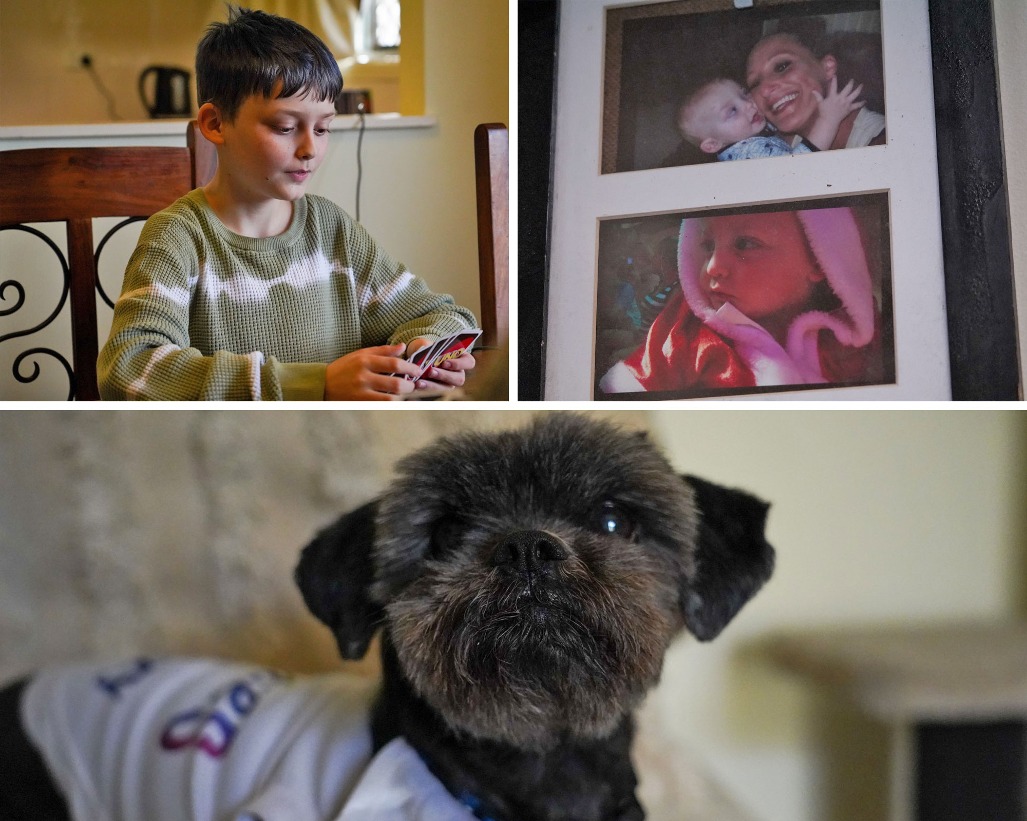 Boy playing cars, childhood photos, brown dog with white bib