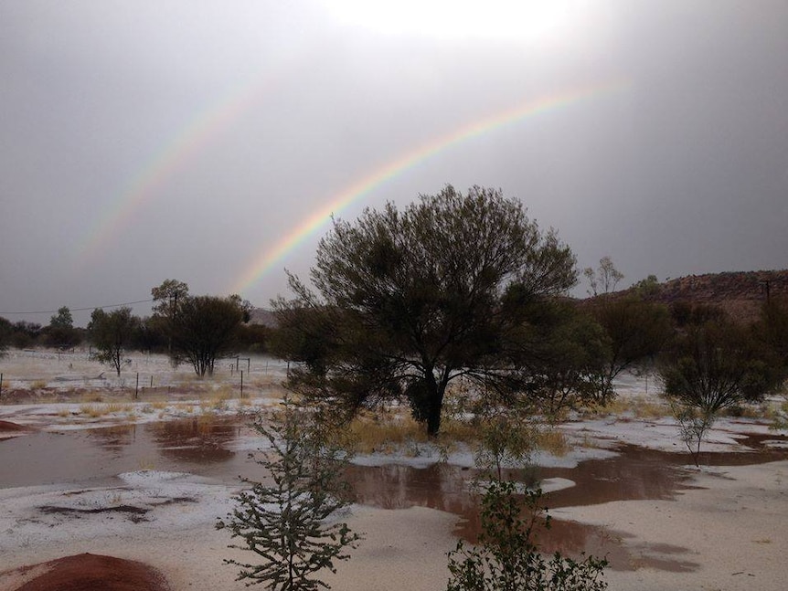 White winter comes to Alice Springs