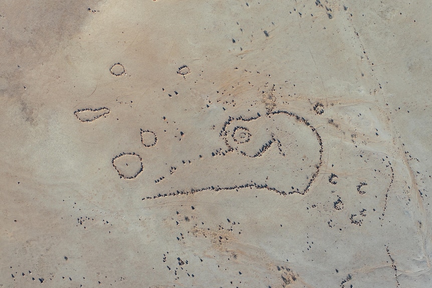 An aerial view of stone formations on a barren landscape.