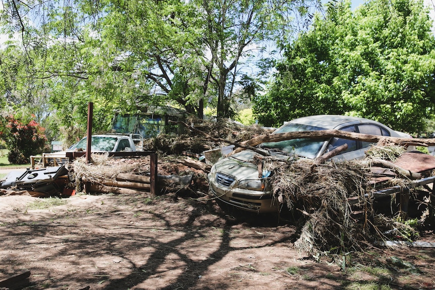 Cars that have been washed into trees.