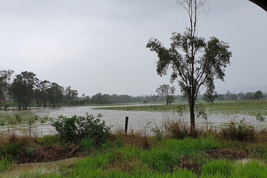 Floodwaters at Bororen, in the Gladstone region