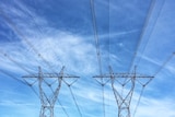 Powerlines in Gippsland in Victoria on a blue sky day.