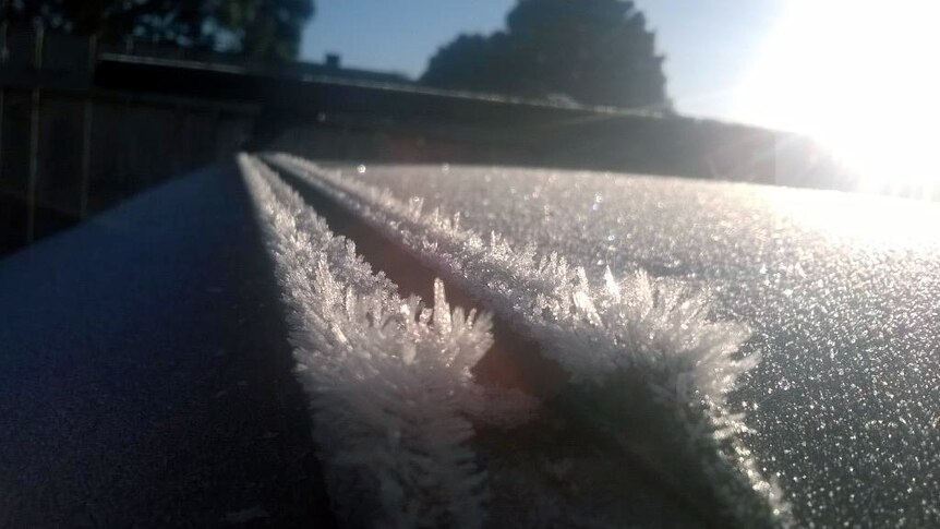 Widespread frost hits Victoria
