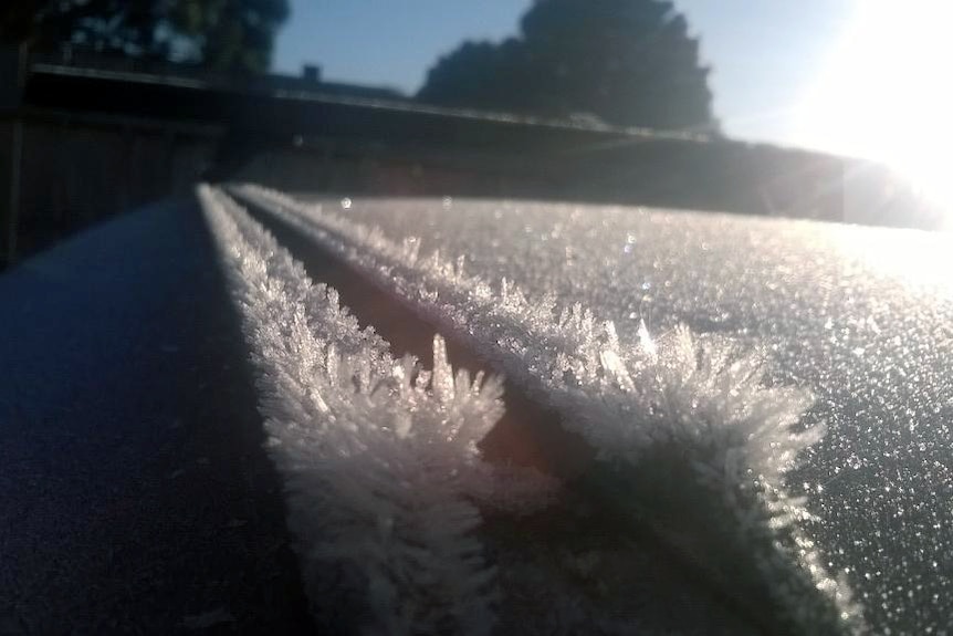 Widespread frost hits Victoria