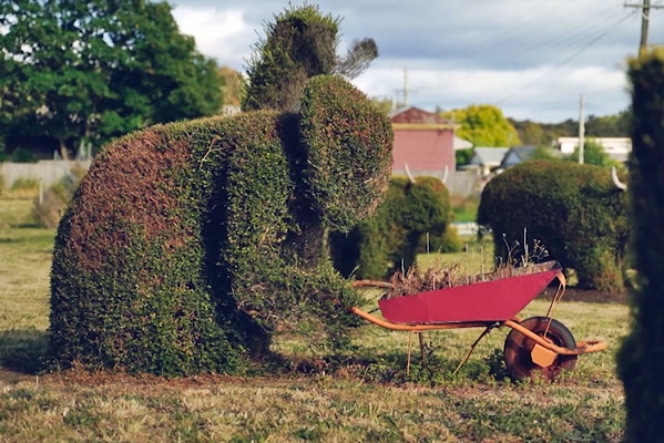 Topiary Wheelbarrow Image
