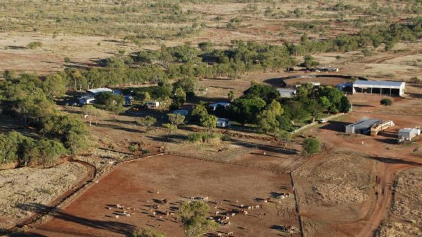 Ruby Plains pastoral station in the Kimberley.