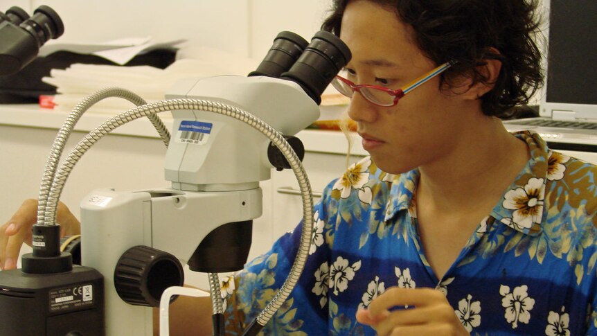 A student examines sea life under the microscope.