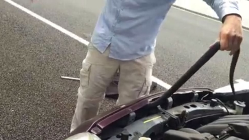 Richie Gilbert removes a red-bellied black snake from the bonnet of a car