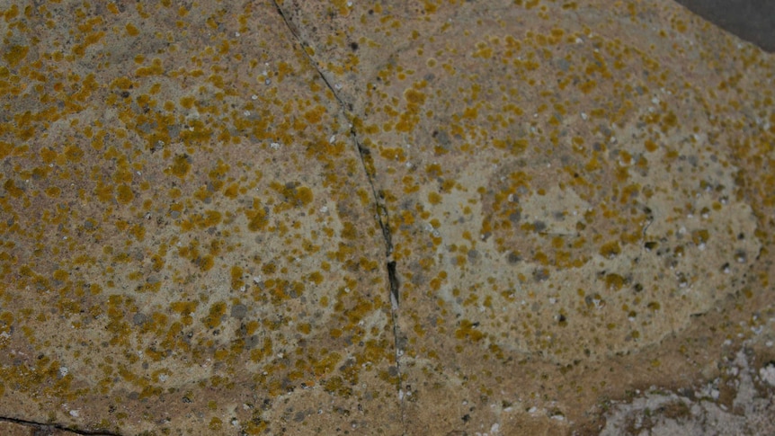 Faint circular carvings are visible on a larger stone, moss is dotted over the surface