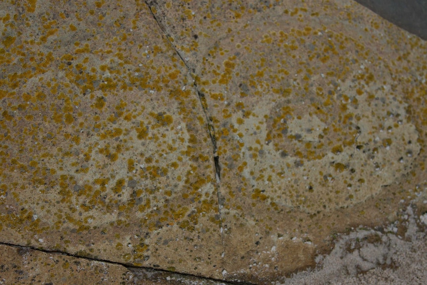 Faint circular carvings are visible on a larger stone, moss is dotted over the surface