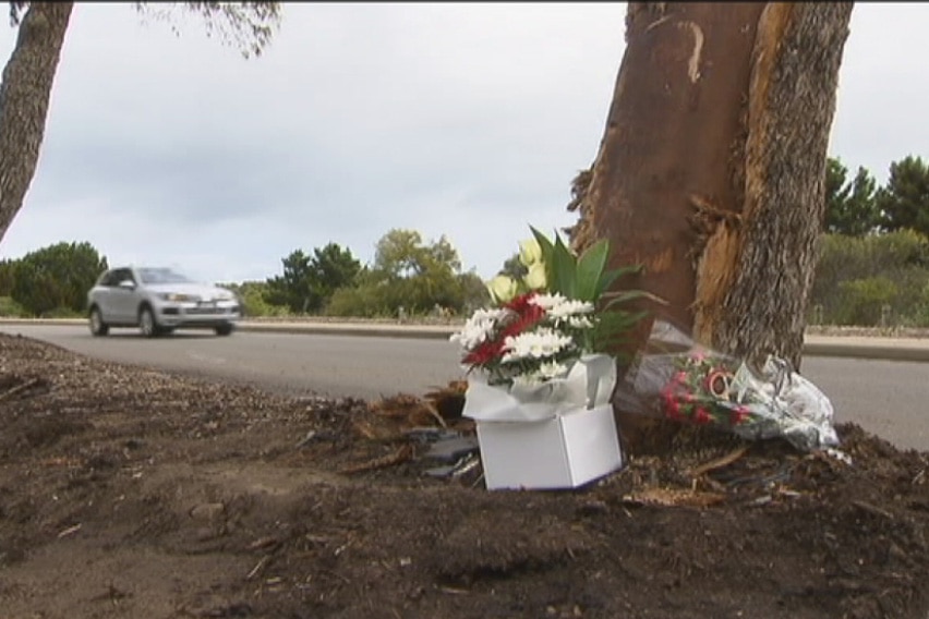 A damaged tree with flower tributes at its base.