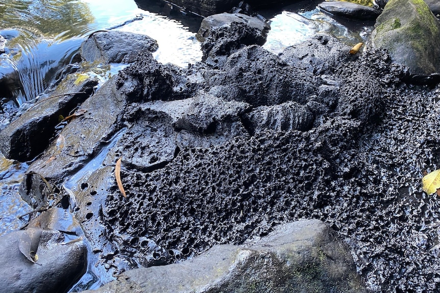 Black sludge on rocks and in waterway.