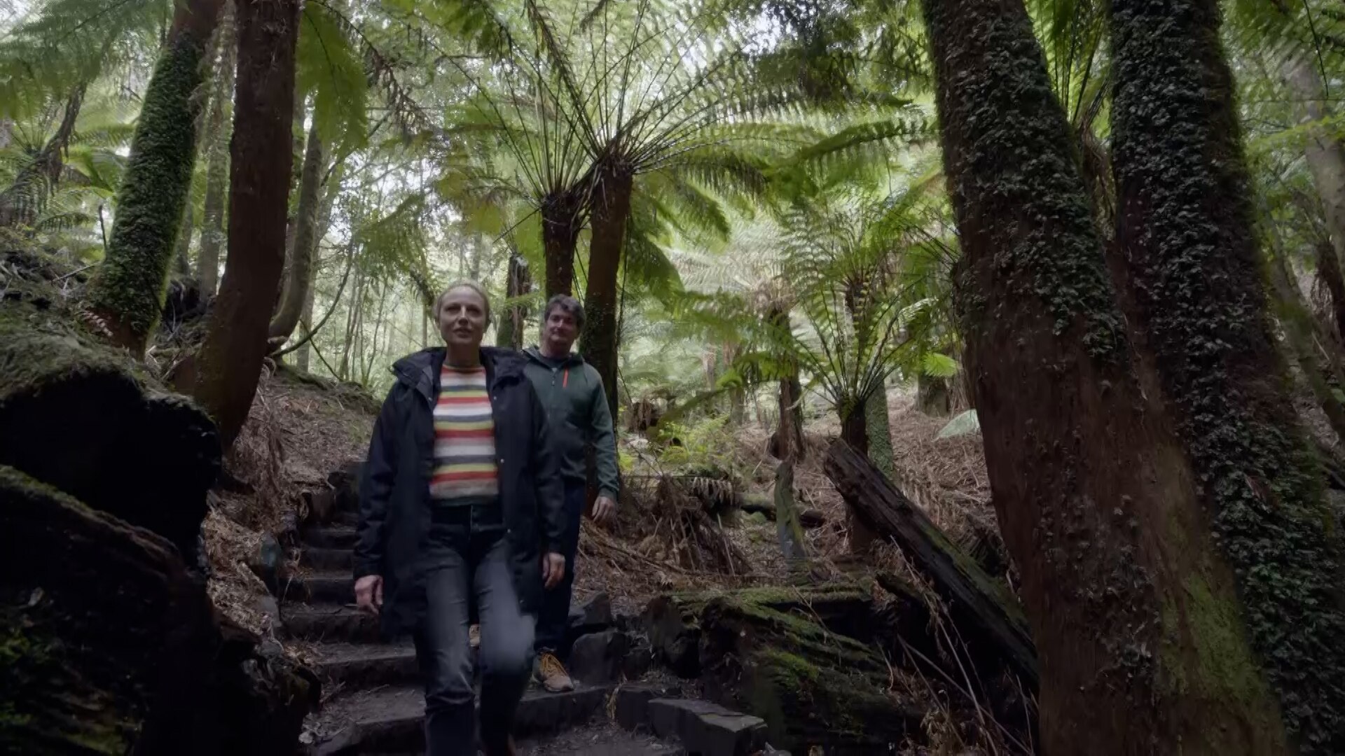 Woman and man walk down steps in lush rainforest