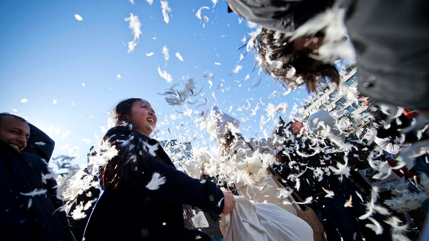 Feathers fly as people have a mass pillow fight in Stockholm