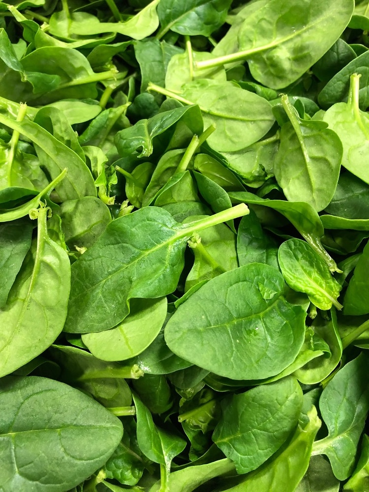 Victorian vegetable farmer accused of underpaying migrant workers