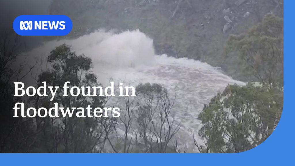 Body found in search for man swept into NSW floodwaters - ABC News