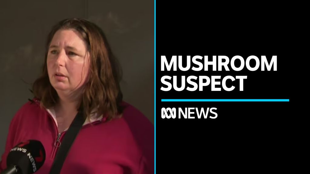 Erin Patterson charged with murder over mushroom lunch - ABC News