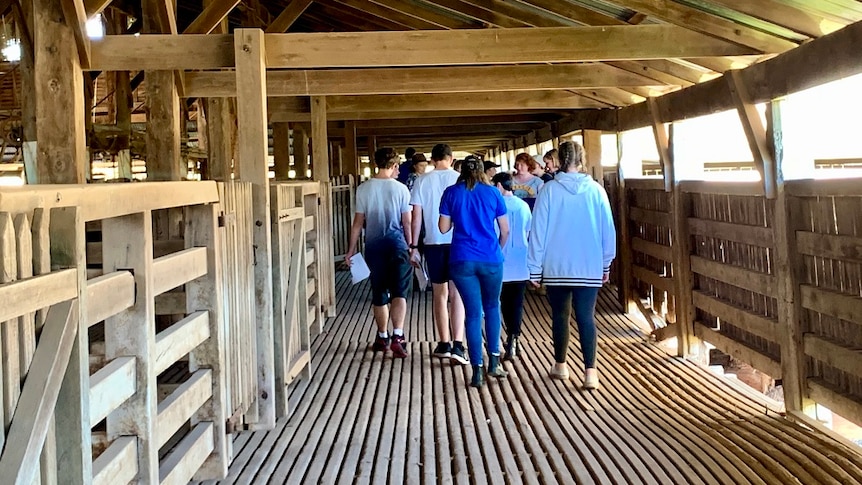 Students walk through a historic timber woolshed.