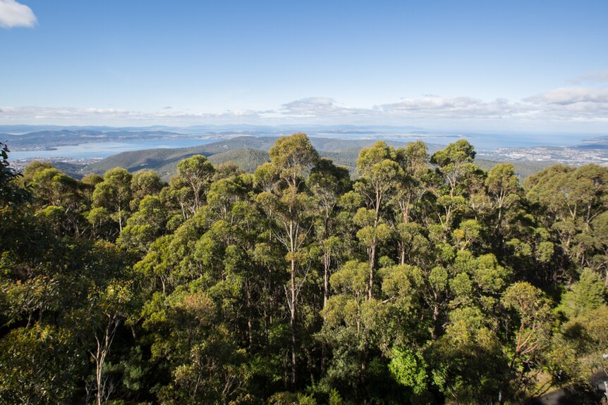 The Springs lookout shows the cultural insights to Tasmanian Aboriginal people and a view of Greater Hobart.