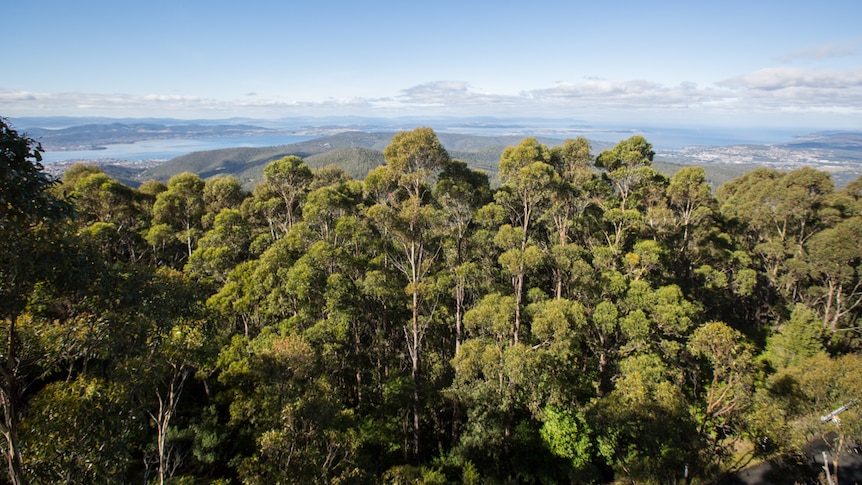 The Springs lookout shows the cultural insights to Tasmanian Aboriginal people and a view of Greater Hobart.