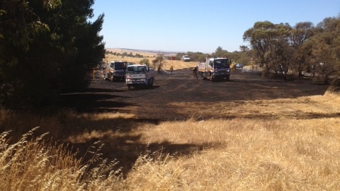 Scorched field at St Ives after grassfire, January 3 2013