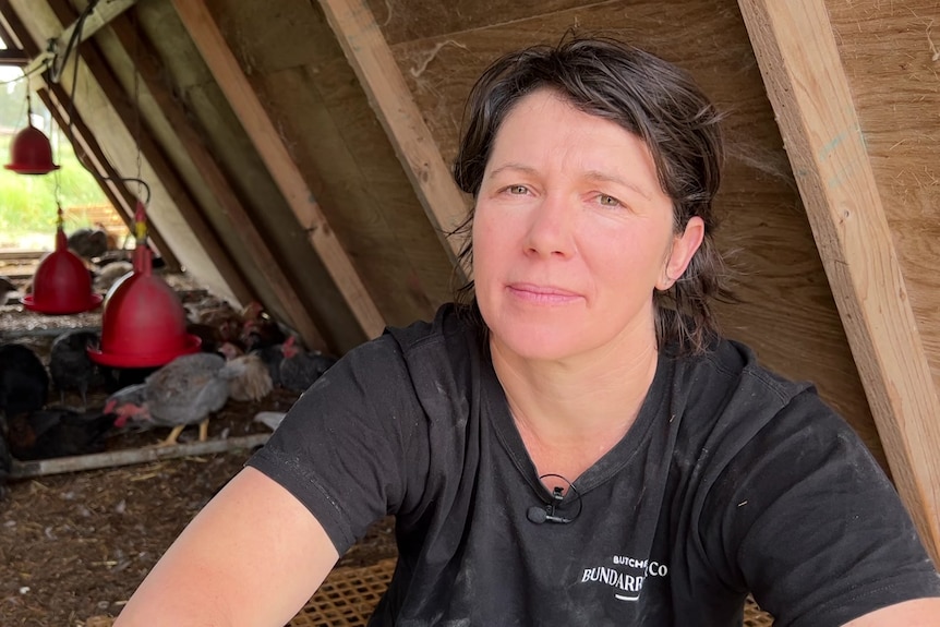 a woman sitting in a chook house staring at the camera