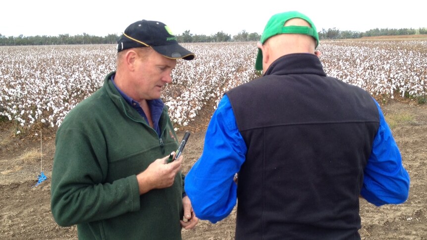 Boggabri farmer Andrew Watson discusses his options with agronomist Jim Laycock