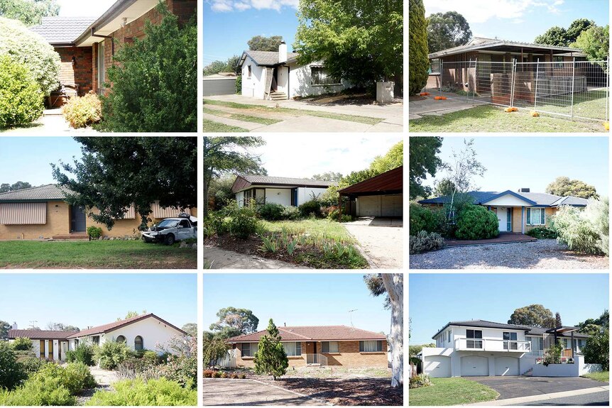 Collection of Mr Fluffy homes in Kambah