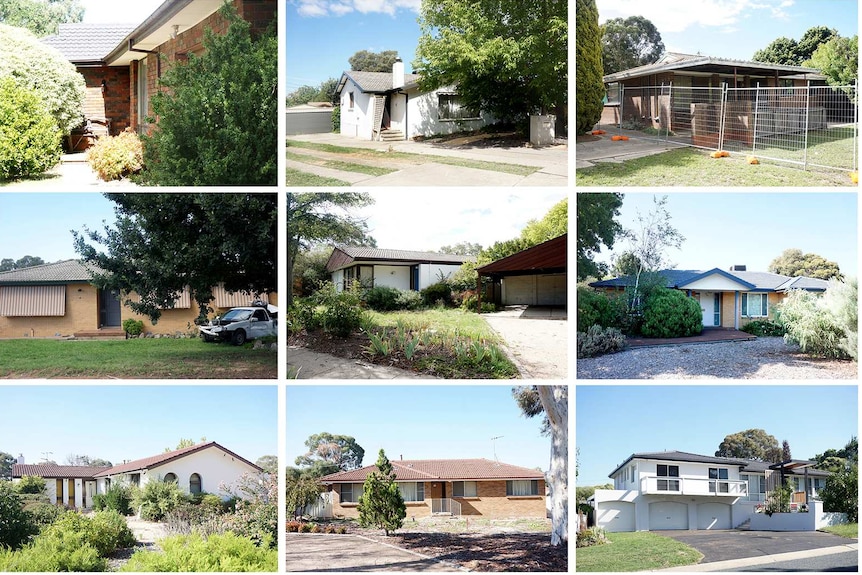 Collection of Mr Fluffy homes in Kambah