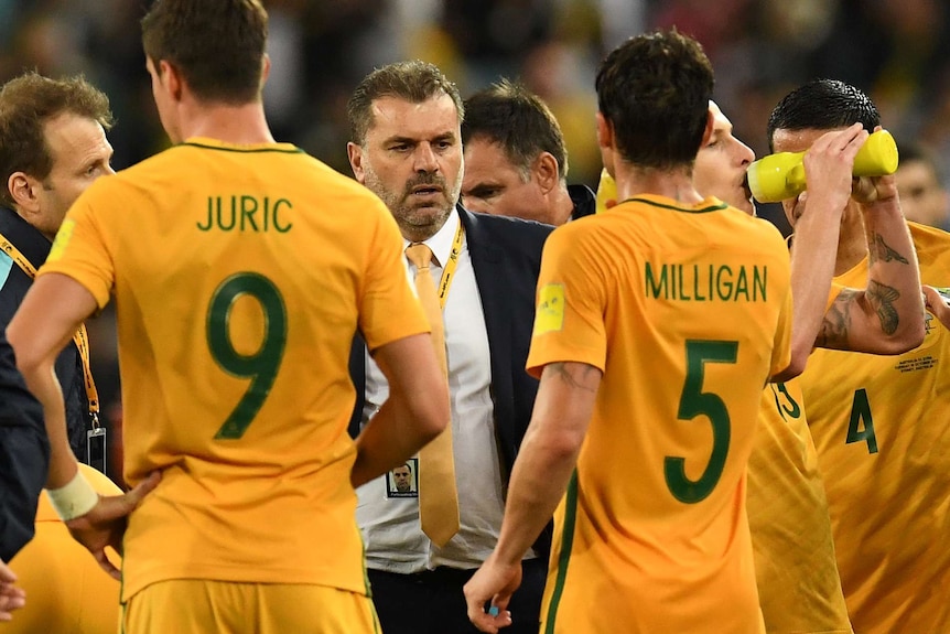 Socceroos coach Ange Postecoglou with players in World Cup qualifier against Syria