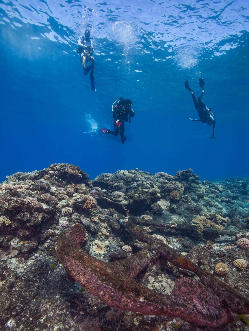 Three divers above a anchor sitting on a coral shelf