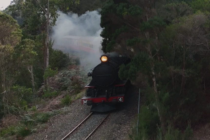 Black locomotive with light on, steaming through forest, passeneger carriages behind.