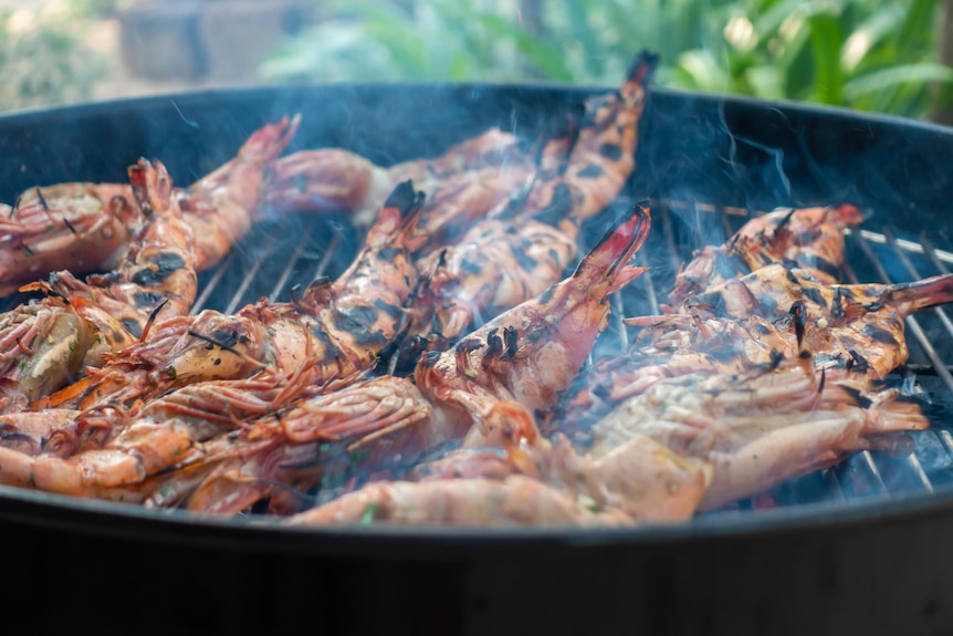 Prawns are cooked on the barbeque.