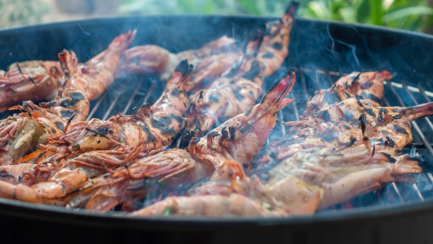 Prawns are cooked on the barbeque.
