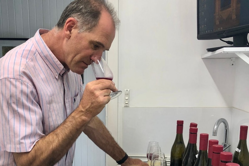 man smells wine to check flavour